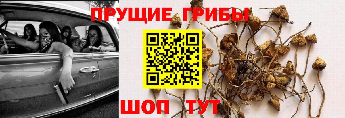 Alpha-PVP Новоалтайск