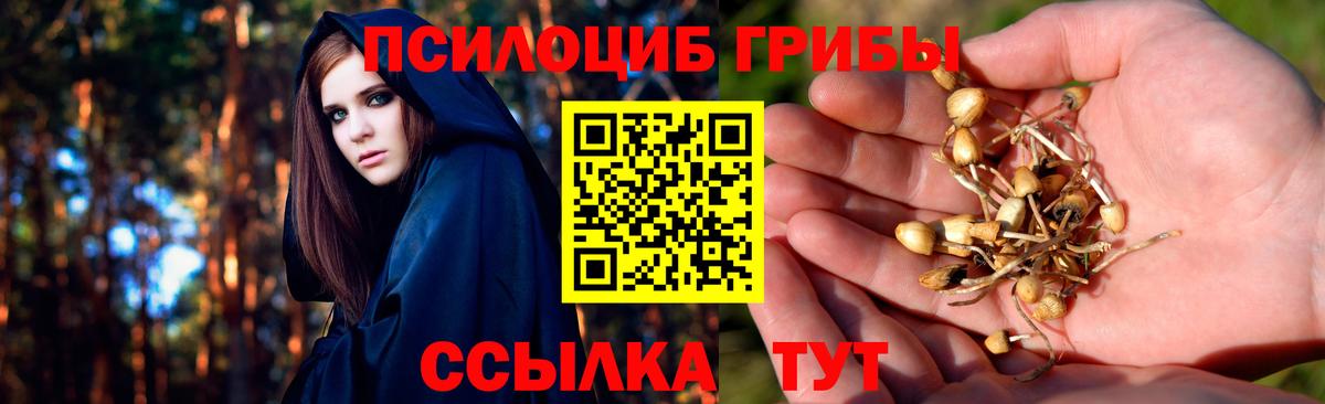Галлюциногенные грибы MAGIC MUSHROOMS  Галлюциногенные грибы мицелий  Вход с VPN  Новоалтайск 
